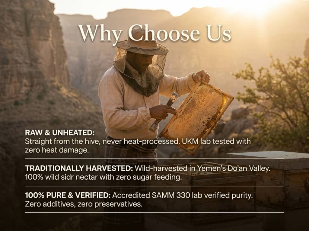 madu alshafi Beekeeper inspecting honeycomb - blog