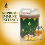 Madu Sidr Royal VIP Madu Alshafi — hadiah VIP madu yemen premium