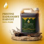 Madu Somor Premium untuk penggemar madu kuat dan tradisional